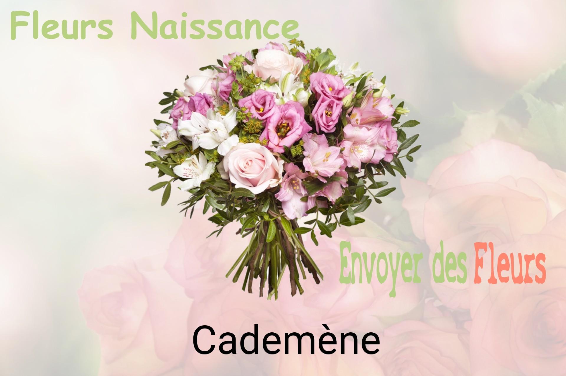 Bouquet de fleurs de naissance livré à Cademène